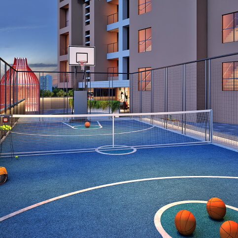 Multipurpose Play Court